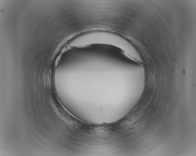 X0000060580064200512011743