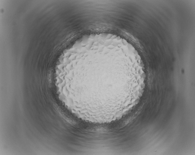 X0000060580065200512011743