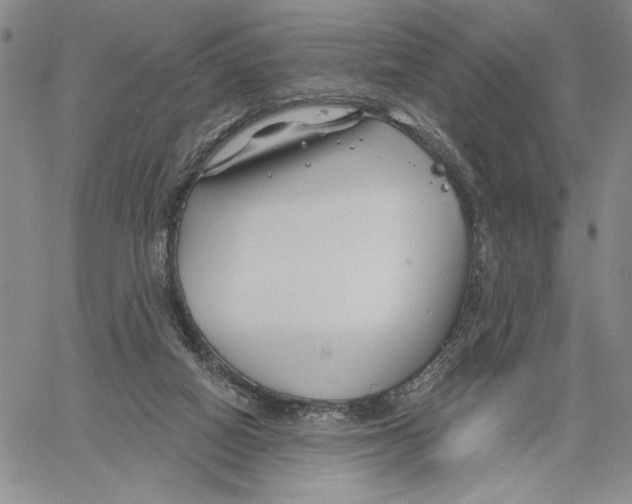 X0000060580066200512011743