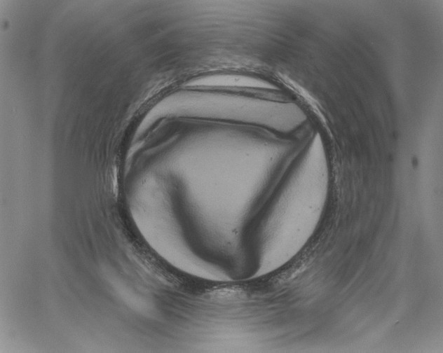 X0000060580067200512011743