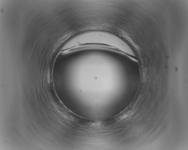 X0000060580068200512011743