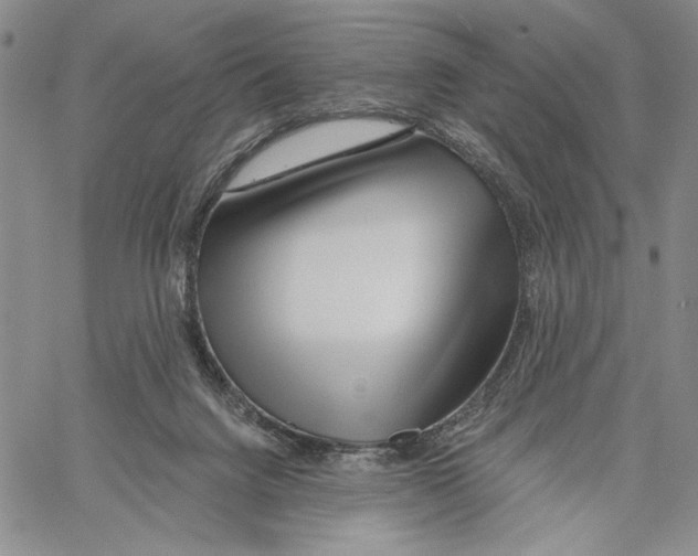 X0000060580072200512011743