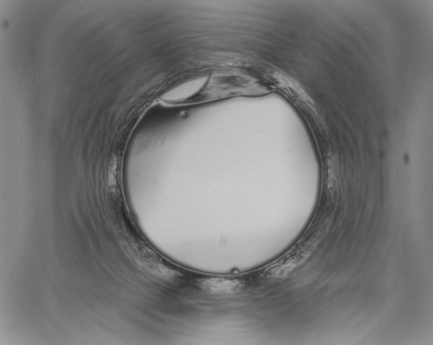 X0000060580073200512011743