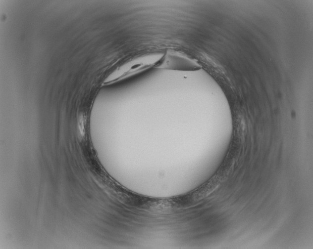 X0000060580075200512011743