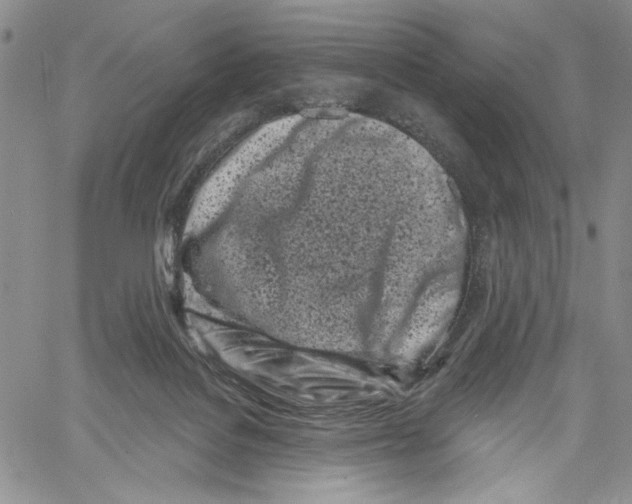 X0000060580076200512011743