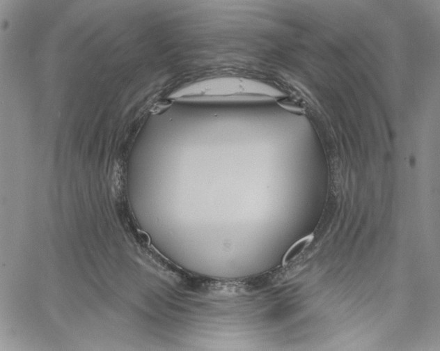 X0000060580077200512011743