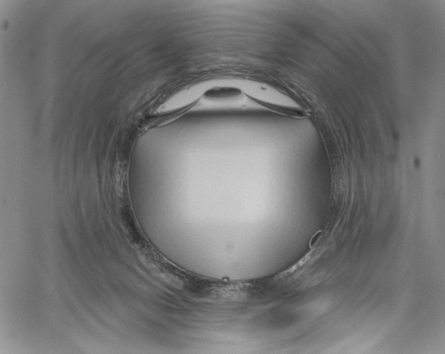 X0000060580078200512011743