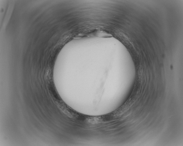 X0000060580079200512011743