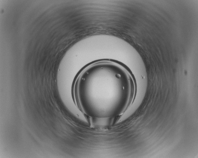 X0000060580080200512011743