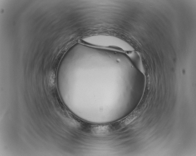 X0000060580081200512011743