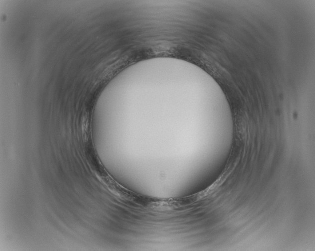 X0000060580082200512011743