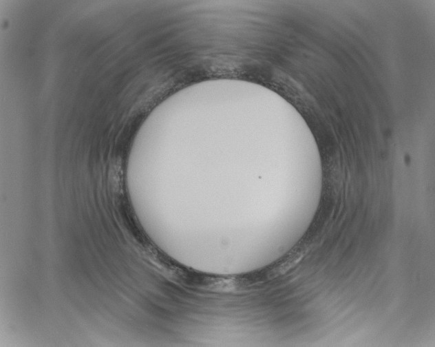 X0000060580083200512011743