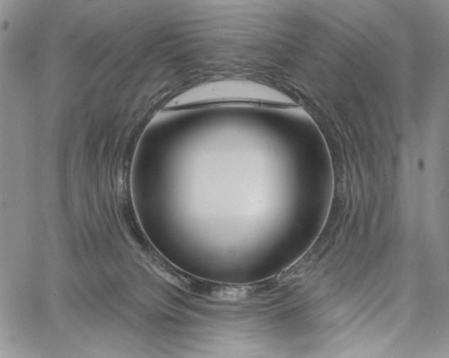 X0000060580084200512011744