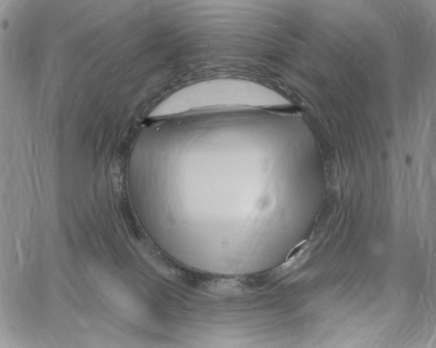 X0000060580086200512011744