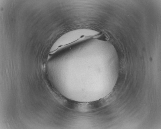 X0000060580090200512011744