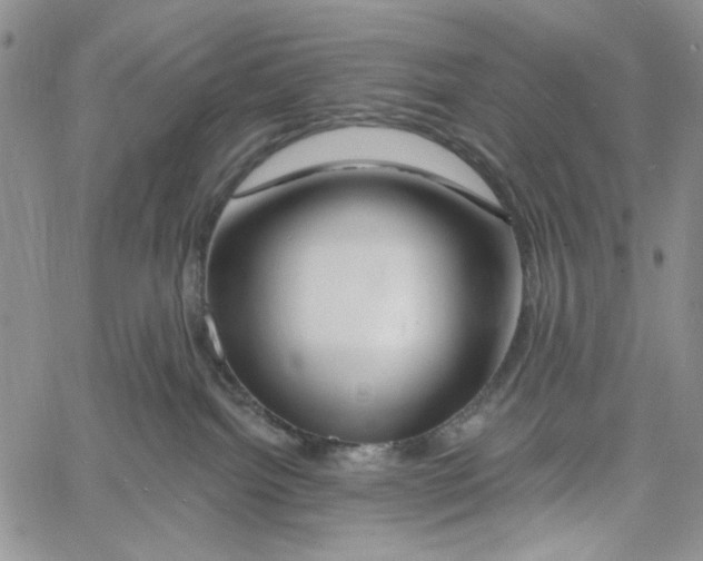 X0000060580092200512011744