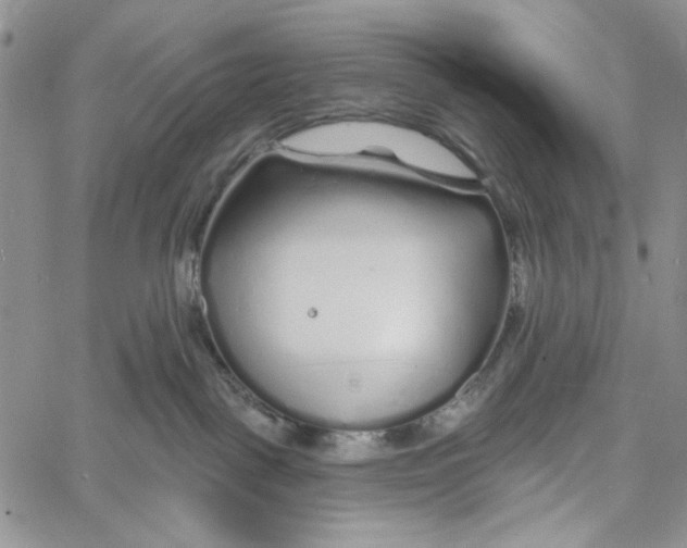 X0000060580093200512011744