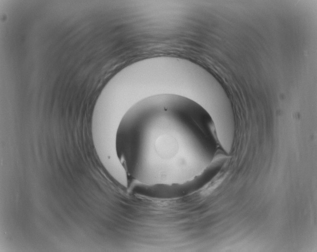 X0000060580096200512011744