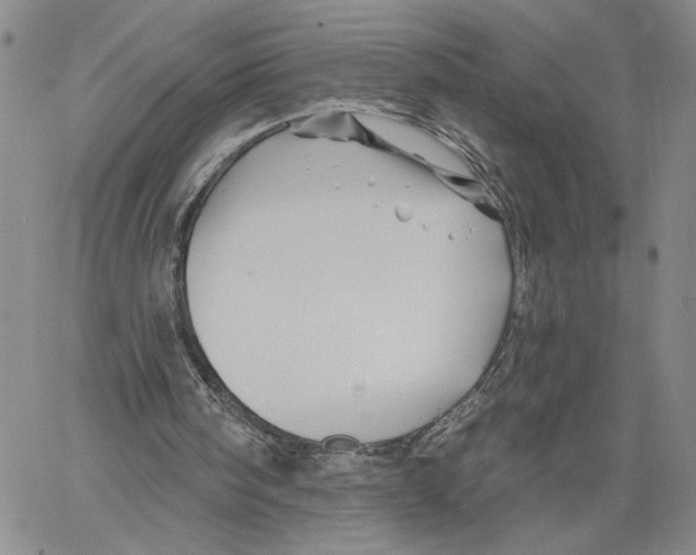 X0000060580098200512011743