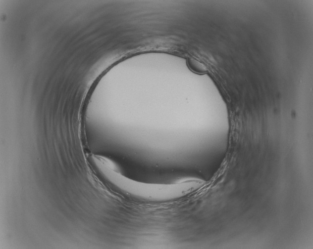 X0000060580100200512011743