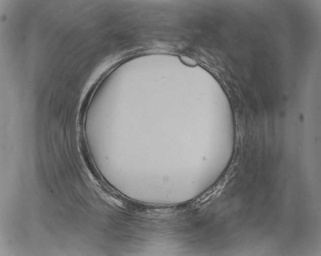 X0000060580102200512011743