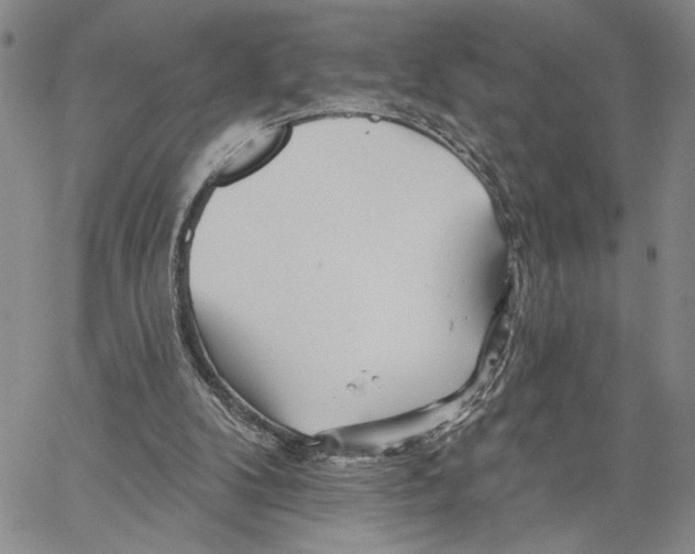 X0000060580104200512011743