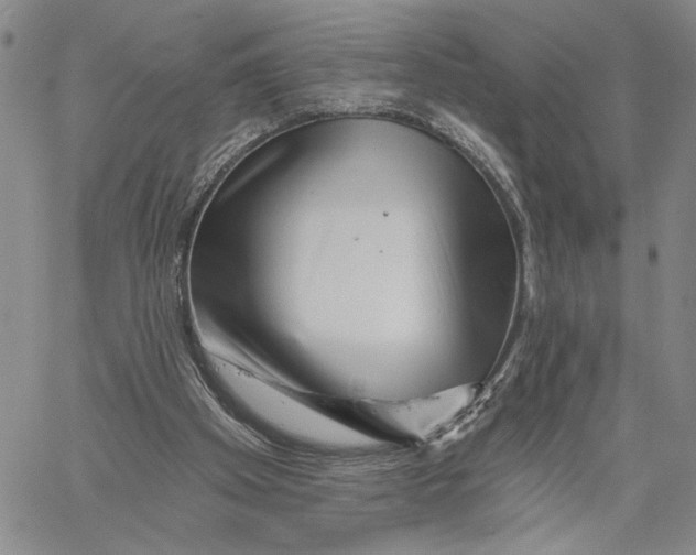 X0000060580105200512011743