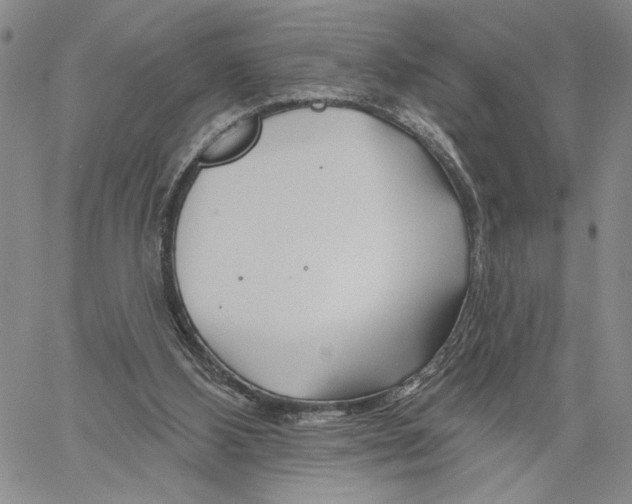 X0000060580108200512011743