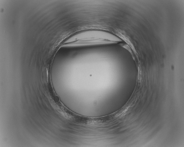 X0000060580109200512011743