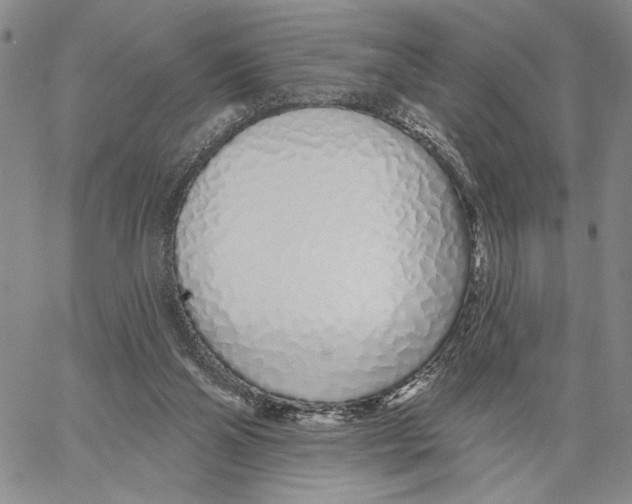 X0000060580110200512011743