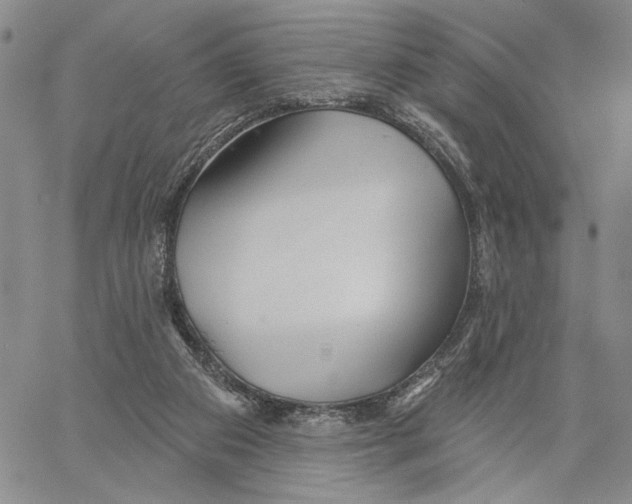 X0000060580113200512011743