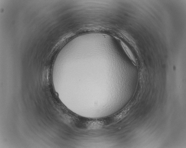 X0000060580115200512011743