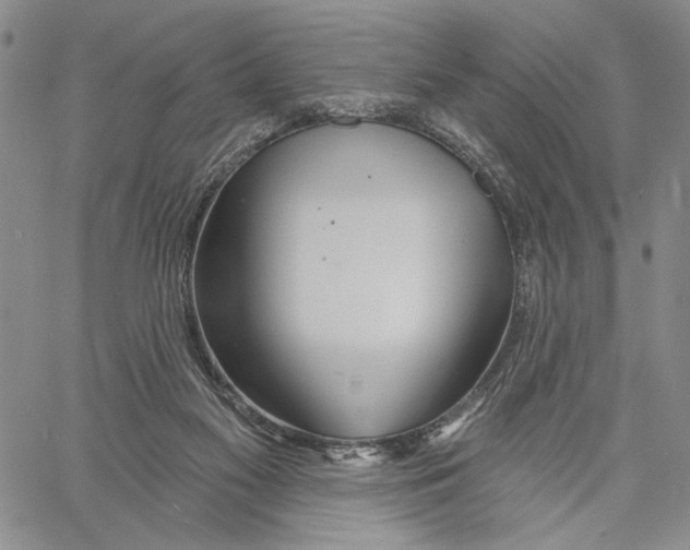 X0000060580117200512011743