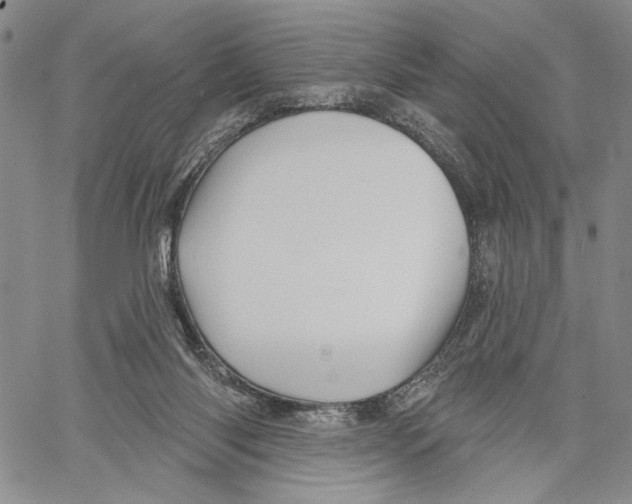 X0000060580118200512011743