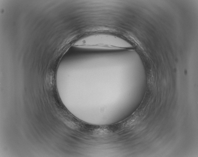 X0000060580119200512011743