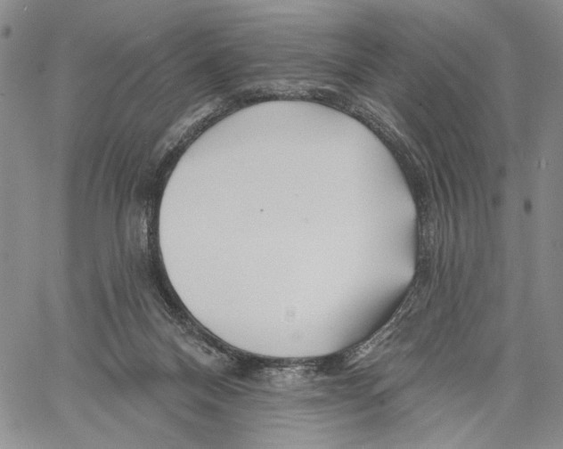 X0000060580120200512011743