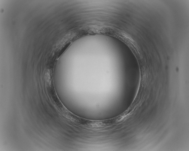 X0000060580121200512011743