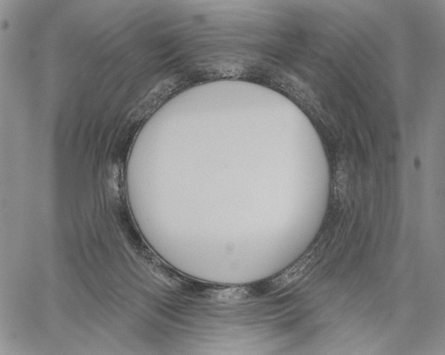 X0000060580122200512011742