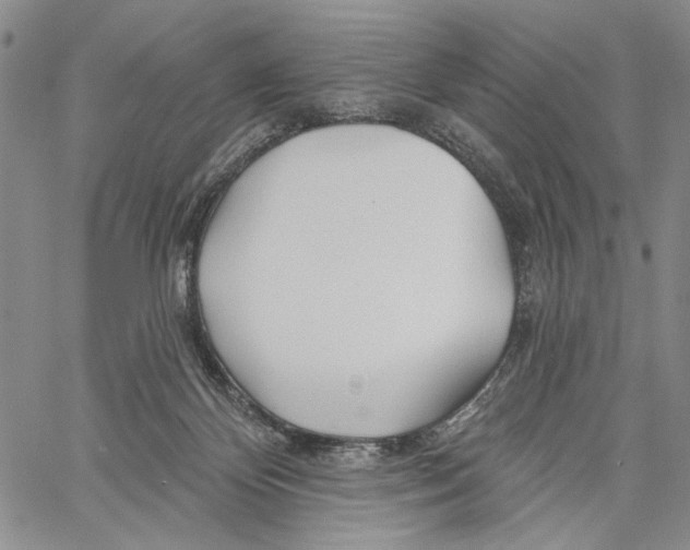 X0000060580124200512011742