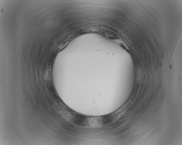 X0000060580126200512011742