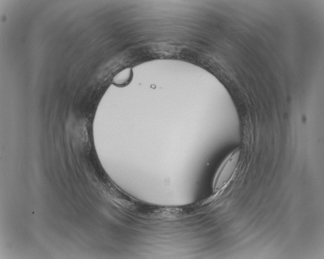 X0000060580128200512011742