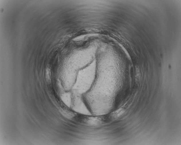 X0000060580130200512011742