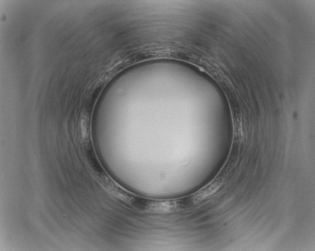 X0000060580131200512011742