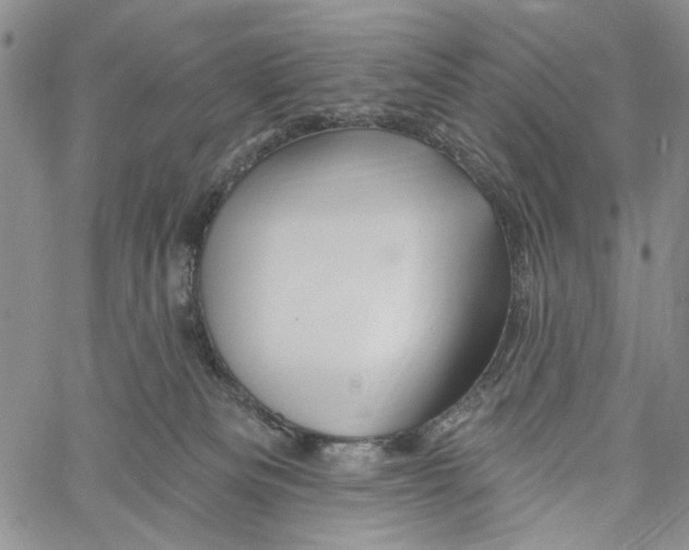 X0000060580133200512011742