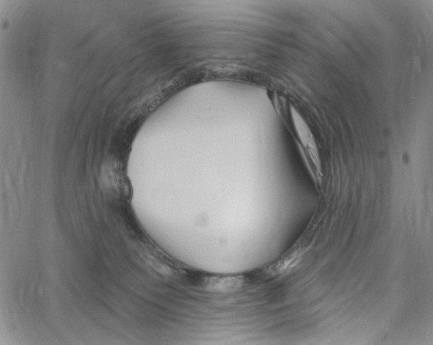 X0000060580135200512011742