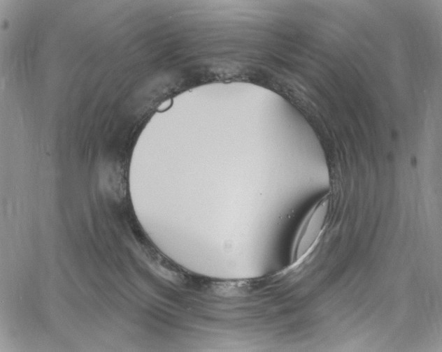 X0000060580136200512011742