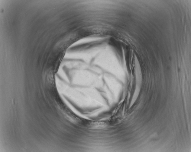 X0000060580137200512011742