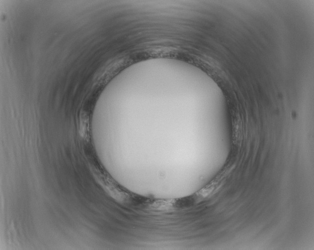 X0000060580138200512011742