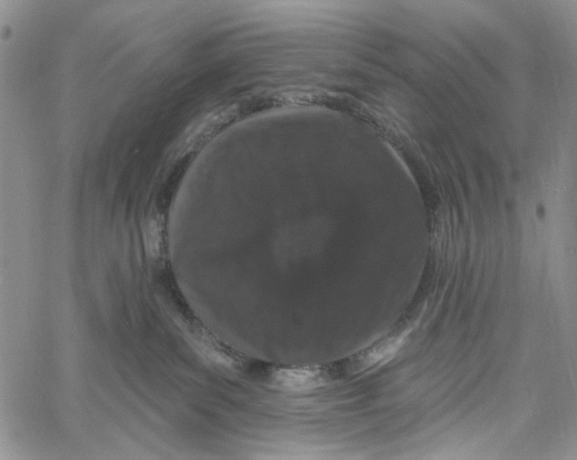 X0000060580139200512011742