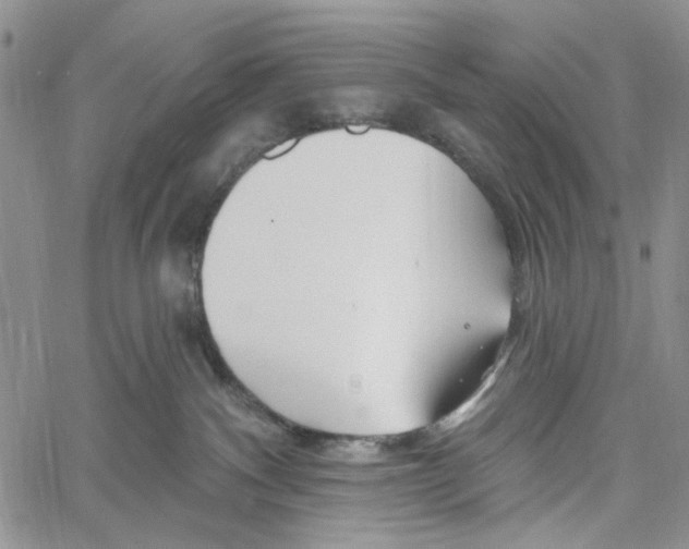 X0000060580140200512011742